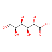 2S,3S,4S,5R)-2,3,4,5-tetrahydroxy-6-oxohexanoic acid